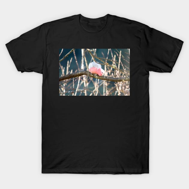 Galah 3 T-Shirt by DeborahMcGrath